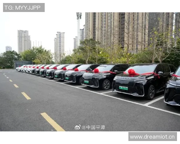 灵活选择与便捷出行:打造全新汽车租赁服务体验,满足多样化需求 灵活选择与便捷出行:打造全新汽车租赁服务体验,满足多样化需求