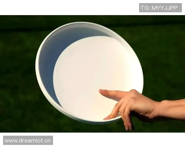 李强独家分享飞盘技巧与心得体会助你提升飞盘水平的秘诀