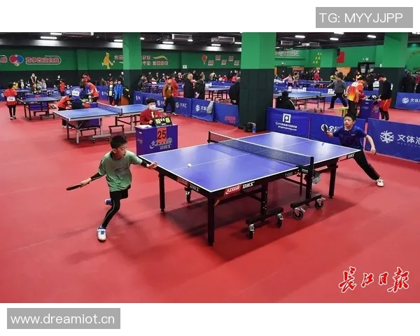 武汉乒乓球队的崛起与发展探索乒乓球运动的力量与精神