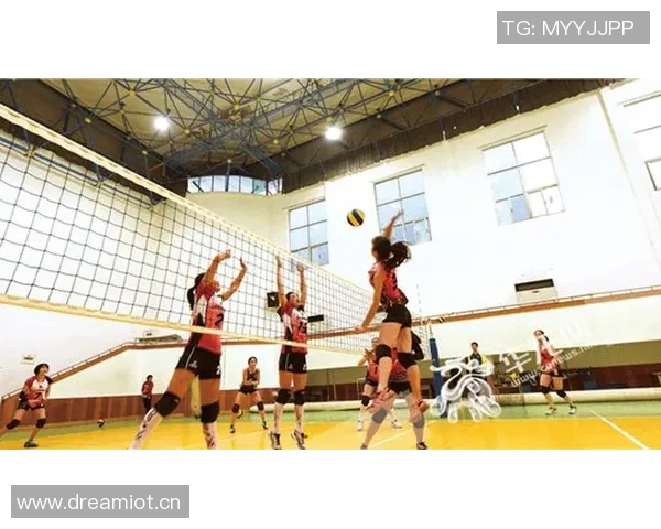 排球之美:深入重庆排球队灵活性训练与战术解析 排球之美:深入重庆排球队灵活性训练与战术解析